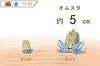 1/20 Scale World Zukan Set 4 Part 2 - Pokemon Resin Statue - SXG Studios [In Stock]