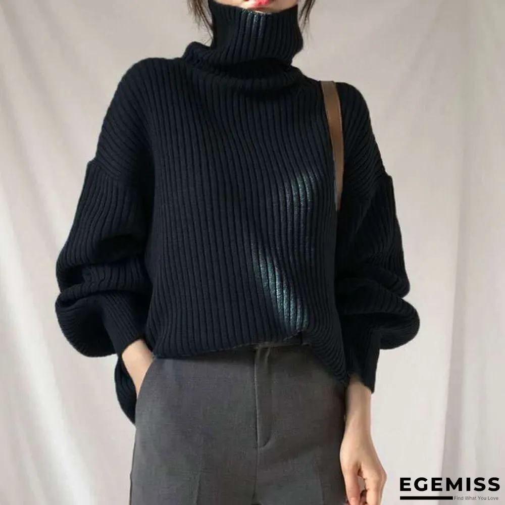 Chic Style Solid Color Turtleneck Lazy Leisure Long Sleeve Sweater | EGEMISS