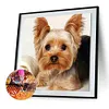 Dog - Full Round Diamond Painting
