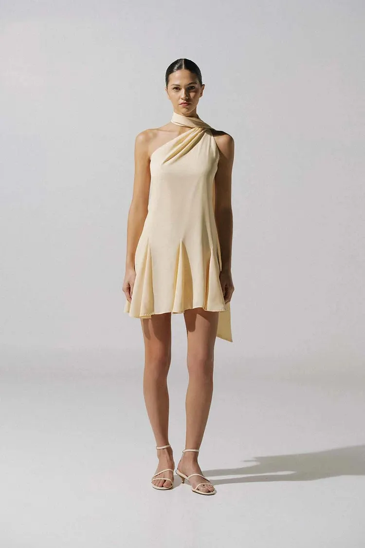 Ari Mini Dress