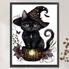 >SALE<Full Embroidery Cotton Thread 11CT Printed Magic Black Cat Cross Stitch 50x65cm
