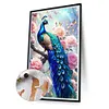 (US Local)2pack Paint By Numbers Kit On Canvas DIY Oil Art Animal Picture Wall Decor40x60cm