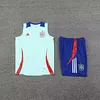 2024 Spain pre-match training Light Blue Jersey+Shorts 1:1 Thai Quality