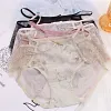 Lace Sexy Mesh Hollow Men's Briefs