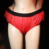 New Men's Sexy Ice Silk Ultra-thin Transparent Briefs