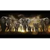 Elephant-Full Round Diamond Painting(80*45cm)