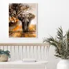 Elephant - 11CT Stamped Cross Stitch - 40*50cm - Animal