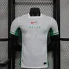 2024 Player Version Nigeria National Team Home Football Shirt 1:1 Thai Quality