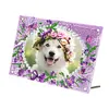 Special Shape Magnolia Table Top Diamond Painting Frame Kits for Beginners