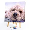 Paint by Numbers Acrylic Painting - Pet Dog 40*40cm(HOT)