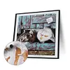【Limited Stock Sale】Cat-Paint by Numbers Acrylic Painting 40*40cm