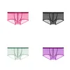 Men's Low Waist Sexy Transparent Ice Silk Seamless Ultra-Thin Boxer Briefs