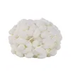 DIY Chunky Chenille Yarn Arts Crafts Supplies Jumbo Chenille Yarn for Crocheting