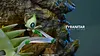 Grass Type Family Series Tyranitar Family - Pokemon Resin Statue - Gene Studios