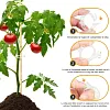 50/100/150 pi&egrave;ces Clips support pour plantes