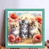 Cat-Partial 11CT Stamped Cross Stitch Bead Embroidery 36*36cm/14.17*14.17in