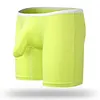 Designer Elephant Boxer Briefs
