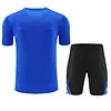 2025/2026 Inter Milan Pre-Match Training Blue Shirt+Shorts 1:1 Thai Quality