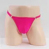 Detachable Sexy Ice Silk Stretch Sheer Low Rise Thong