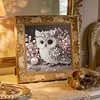Owl-Partial Special Shaped Diamond Painting 30*30CM