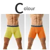 Men's Ice Silk Underwear Sexy Bulge Puch Low Rise See Through Boxer Briefs Thin Cool Boxers Shorts