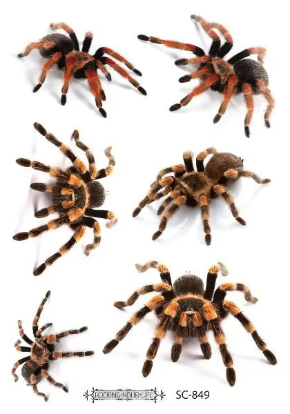 12 Kinds Big 3D Spider Tattoo Waterproof Halloween Temporary Body Art Sticker Disposable Make Up Scary tatouage temporaire