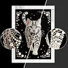 Diamond Painting-DIY Special Shaped Drill Pearl Painting Cat(30x40cm)