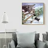 Donkey - Full Round Diamond Painting(40x40cm)