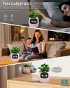 LVY Expression Control Intelligent Small Flower Pot Desktop Planter APP Monitoring Sensor Expression Demand Interactive LCD Screen