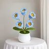 4Pcs Potted Plants Crochet Kit DIY Crochet Starter Kit Crochet Set for Beginners