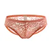 Men's Lace Underwear Briefs Bulge Pouch Transparent Panties Low Rise Ultra Thin Underpants