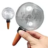 500ML Self Watering Globes Automatic Plant Waterer for Plant Indoor Outdoor