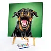 【Limited Stock Sale】Dog-Paint by Numbers Acrylic Painting 40*40CM
