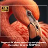 Home Theater Projector Portable 4K Outdoor Android 11 Dual Wifi6 200 ANSI Bundle
