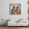 Funny Cat-11CT Stamped Cross Stitch 40*40cm