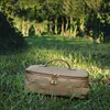 Camping Storage Bag Large Capacity Gas Canister Picnic Bag for Family Activities