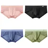 Men's Sexy Ice Silk Mesh Transparent Panties