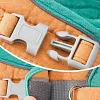 Cat Vest And Belt Kit Pet Traction Rope