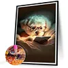 Reading Puppiy-Full Square Diamond Painting(50x65cm)