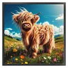 Highland Cow-11CT Stamped Cross Stitch 40*40cm