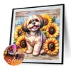 Shih tzu-perceuse ronde peinture diamant-40*40cm