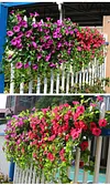 This Week's Special Sale 49% Off- UV Simulation Artificial flower