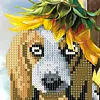 Dog with Sunflower-Partial Round Diamond Painting