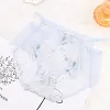 Lace Sexy Mesh Hollow Men's Briefs