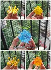 Hollow-Hollow Fruit & Rumble-Rumble Fruit - ONE PIECE Resin Statue - Demon Studios