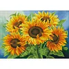 Cross Stitch Full Embroidery Beads Printed 11CT Sunflower(65x50cm)
