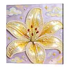 Lily DIY Pearl Painting Kit with Frame 30x30cm Pearl Gem Paintings Picture Arts Craft for Adults/Beginners Gift Home Wall Decor