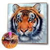 Tiger - Full Round Diamond Painting  30*30cm
