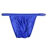 Men's Thongs Underwear Sexy Mini Thong Men Panties Low Waist T-Back Bikini Briefs Ultra Thin Underpants