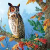 【Limited Stock Sale】Owl-Paint by Numbers Acrylic Painting 40*40CM
